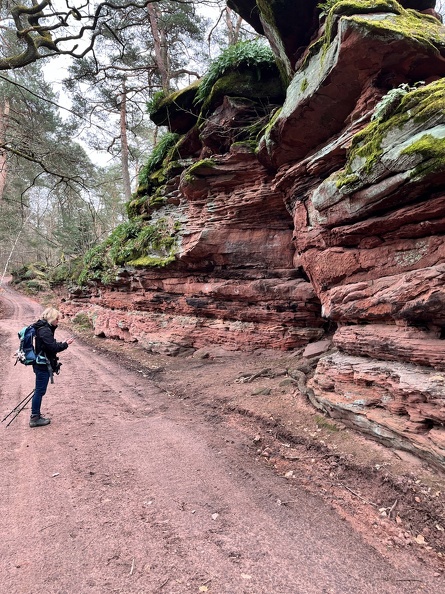 24-03-01 13-06-58 8871.jpeg